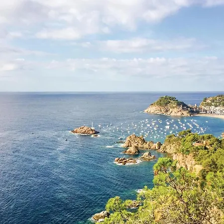 Apartment Stunning In With Kitchen Tossa de Mar